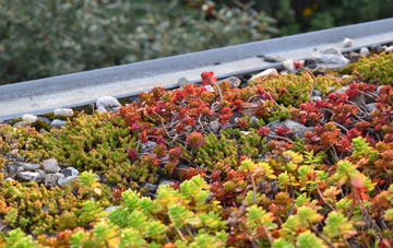 the cost of Gilfachreda green roof installation