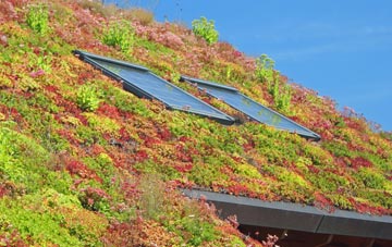 Gilfachreda living roof systems