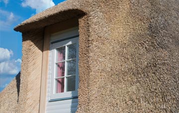 Gilfachreda thatch roof disadvantages